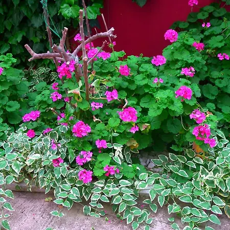 George & Sia's House Appartamento Neos Marmaras