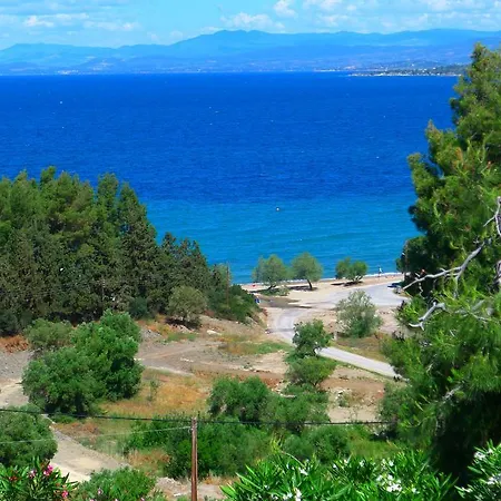 George & Sia's House